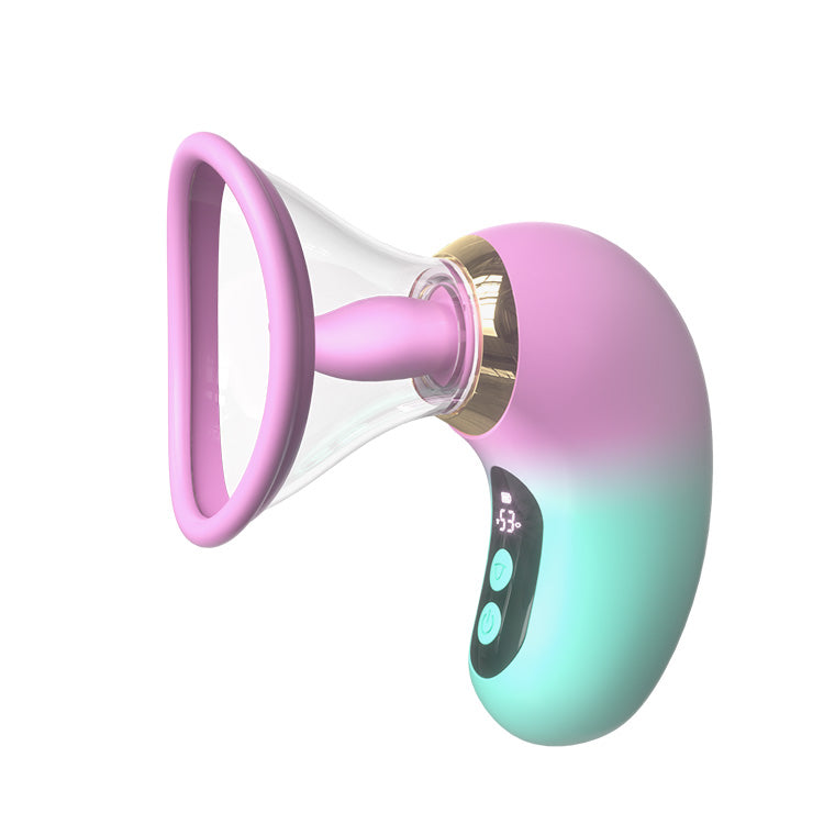 Vibrateur aspirant 5-en-1 avec écran LCD